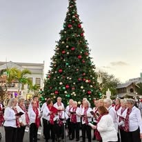 Holiday choir singing by the Christmas tree